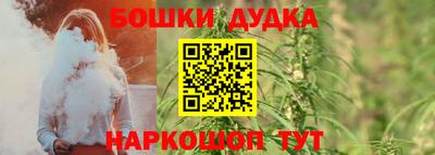мдпв Обь